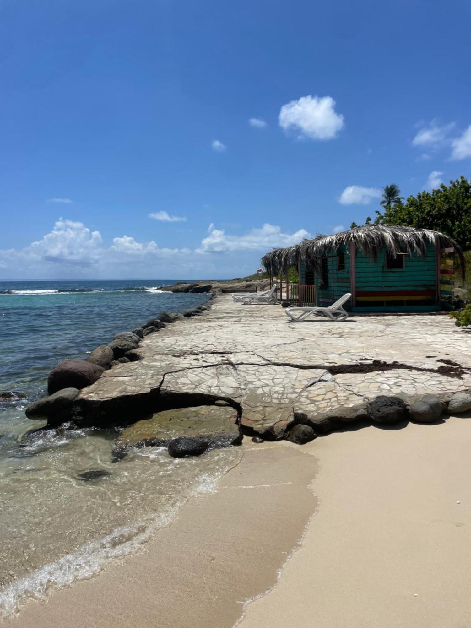 Ticarbets T2 - Résidence Manganao - En bord de Plage Saint-Francois  Exterior foto